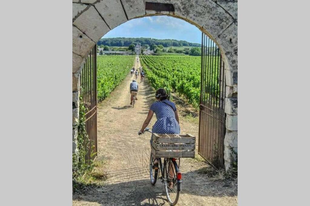 L'Escapade : Maison Centre-Ville Avec Cour Saumur Dış mekan fotoğraf